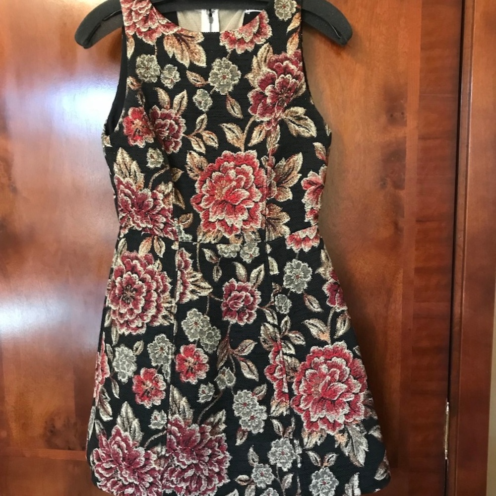 Alice + Olivia party dress